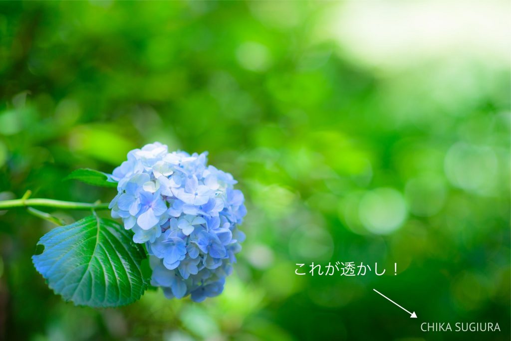 写真 透かし やり方